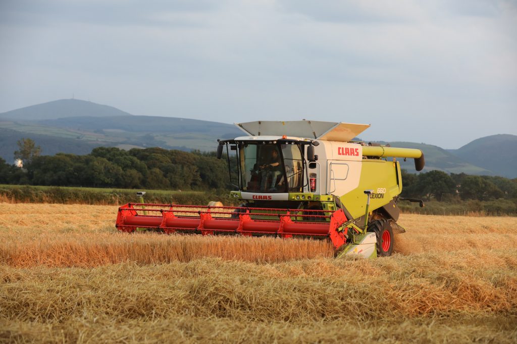 Harvesting the barley