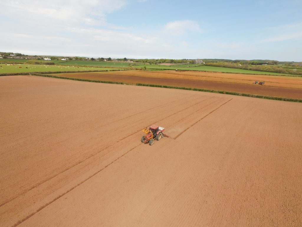 Aerial shot at harvesting time