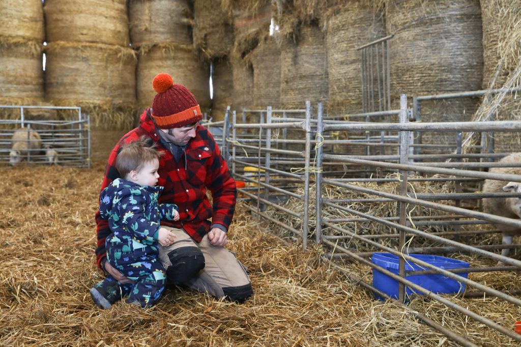 Open Day in the lambing shed
