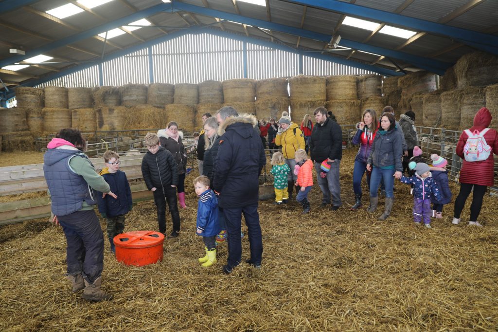 Educational session in the lambing shed