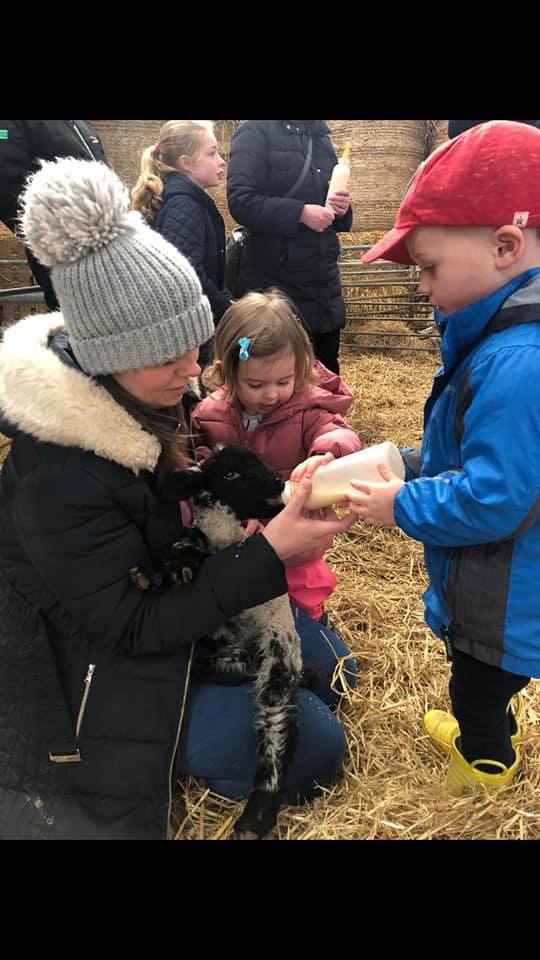 Open Days help youngsters learn about meg lambs