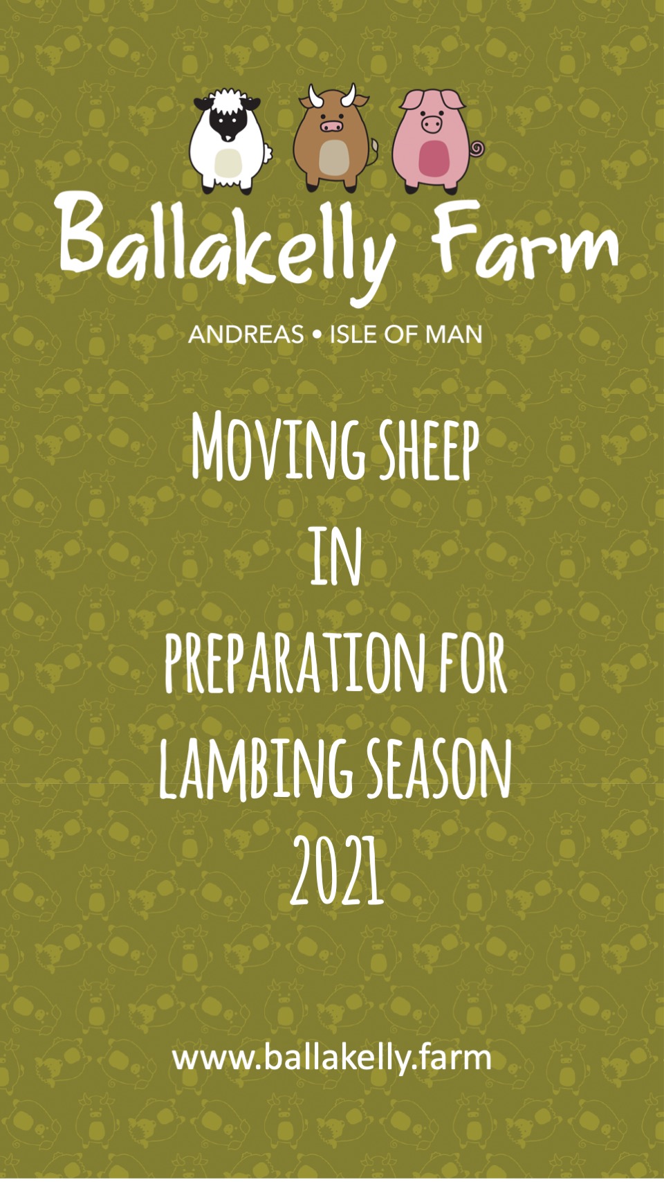 Moving Sheep for lambing season 2021