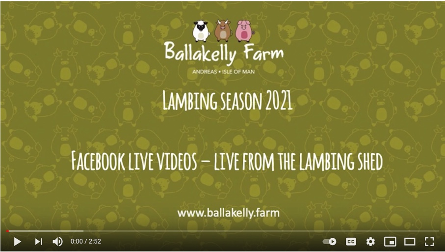 Lambing 2021: Big morning of new lambs